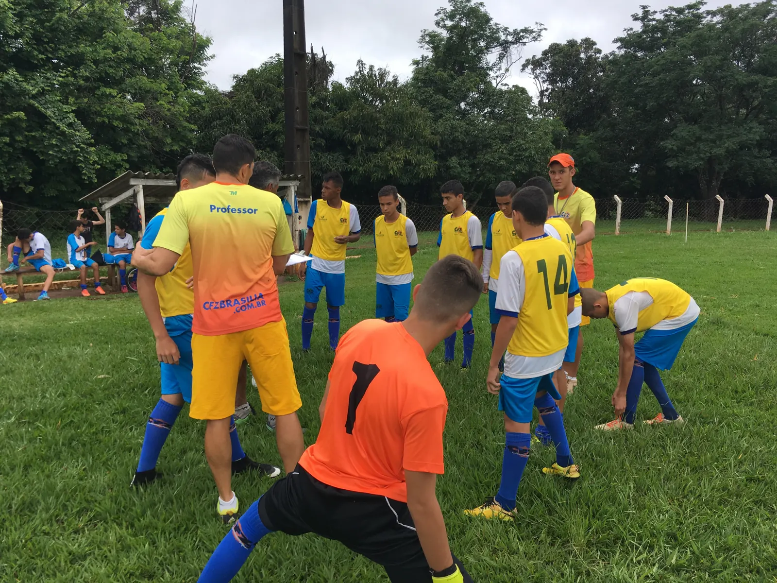 Formando Campeões